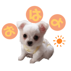 [LINEスタンプ] ましゅです♡