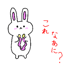 [LINEスタンプ] 可愛い白いうさちゃん