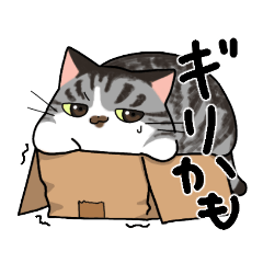 [LINEスタンプ] 猫のチビ太