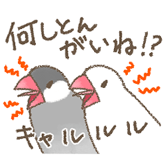 [LINEスタンプ] 富山弁の文鳥2