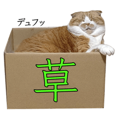 [LINEスタンプ] タレ耳のデブ猫と青い目の猫