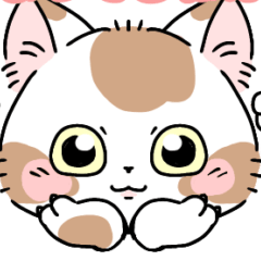 [LINEスタンプ] まだら猫