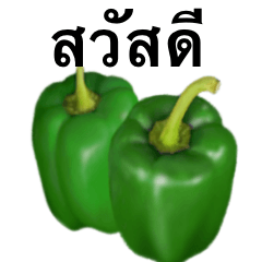 [LINEスタンプ] ピーマン です タイ語 野菜