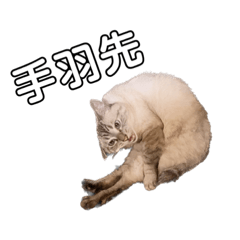 [LINEスタンプ] くりまる②