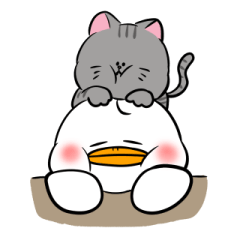 [LINEスタンプ] アヒル ときどき ネコ