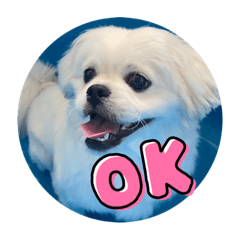 [LINEスタンプ] GOGOぱるむ