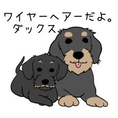 [LINEスタンプ] ワイヤーヘアーダックスフンド