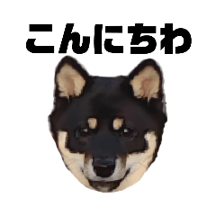 [LINEスタンプ] 黒豆柴のらんちゃん23/3-2