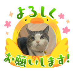 [LINEスタンプ] 〈トム〉〈ジェリー〉便利スタンプ