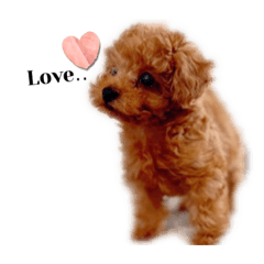 [LINEスタンプ] 俺、れお。（オレオ）①の画像（メイン）