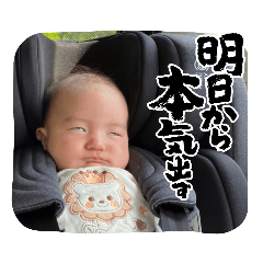 [LINEスタンプ] かしわまる5