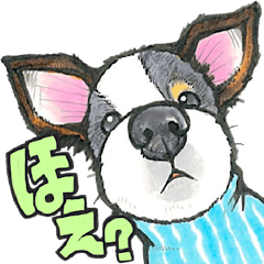 [LINEスタンプ] 【保護犬と保護猫】使える！敬語＆ゆるめ