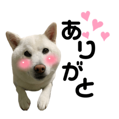 [LINEスタンプ] もこたくぽぅぽ