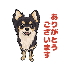 [LINEスタンプ] わんちゃん大集合5