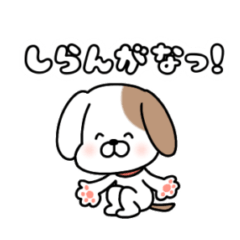 [LINEスタンプ] 動物ゆる挨拶