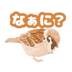 [LINEスタンプ] 身近な鳥さんのスタンプ(改訂版)