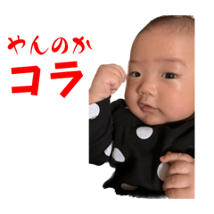 [LINEスタンプ] Haku's stamp No.1