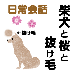 [LINEスタンプ] 柴犬と桜と抜け毛