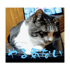 [LINEスタンプ] ちび＆みみ