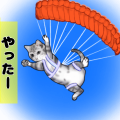 [LINEスタンプ] 挨拶と日常会話のネコのステッカー