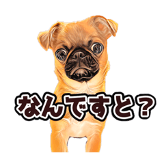 [LINEスタンプ] ブサカワパグチワワのガブちゃん3