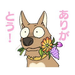 [LINEスタンプ] 続・駄犬の日々