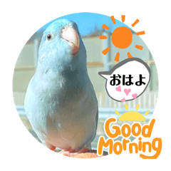 [LINEスタンプ] マメルリハ達3