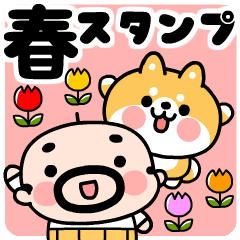 [LINEスタンプ] おやじ君と柴犬の春スタンプ【動く！】