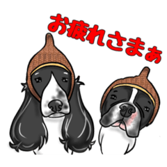 [LINEスタンプ] ソルたろ(インギーandフレブル)