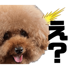 [LINEスタンプ] リアクション多めver.
