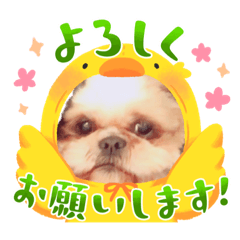 [LINEスタンプ] そらの居眠り