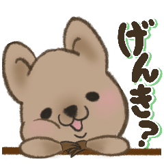 [LINEスタンプ] 毎日使えるクオッカさん (日本語版)