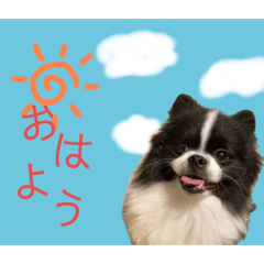 [LINEスタンプ] おれ、おれお3