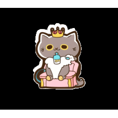 [LINEスタンプ] かわいい猫 VER 1.5