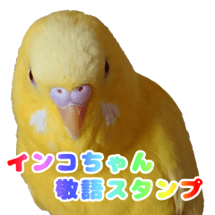 [LINEスタンプ] インコちゃん敬語スタンプ