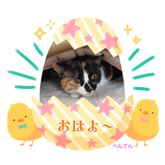 [LINEスタンプ] ビスコと弁天のBBスタンプ2