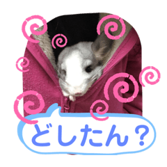 [LINEスタンプ] とりねずカフェ