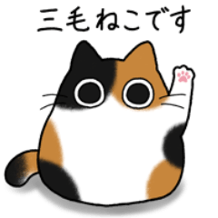 [LINEスタンプ] もちゃねこ三毛