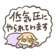 [LINEスタンプ] こなみやの省スペース春夏秋冬 挨拶と犬