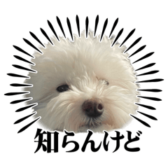 [LINEスタンプ] 築さん.
