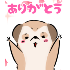 [LINEスタンプ] 【BIG】ほんわかミーアキャット③(修正版)