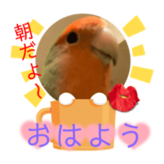 [LINEスタンプ] コザクラインコのくりんちゃん③