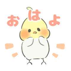 [LINEスタンプ] オカメインコ(ルチノー)日常