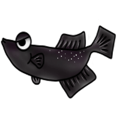 [LINEスタンプ] メダカ ブラックダイヤ光体型