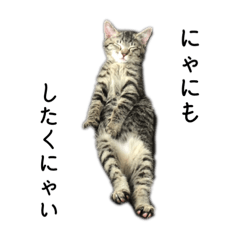 [LINEスタンプ] ねこのおこた兄弟2