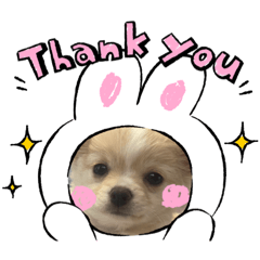 [LINEスタンプ] ぷりん♀