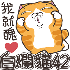 [LINEスタンプ] ランラン猫 42 (台湾版)の画像（メイン）