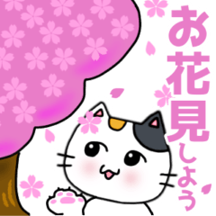 [LINEスタンプ] 三毛にゃんこのデカ文字スタンプ