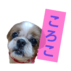 [LINEスタンプ] こっちゃん(4)