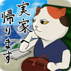 [LINEスタンプ] 猫カオス（修正版）